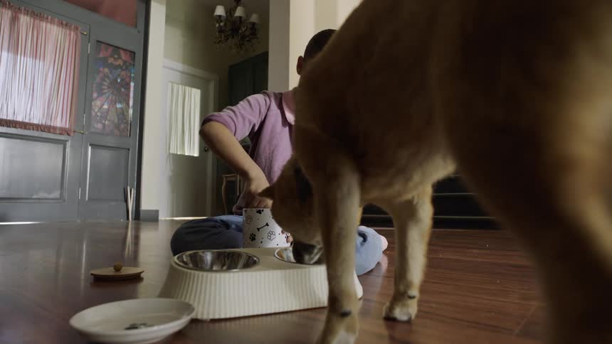 A girl feeds her dog