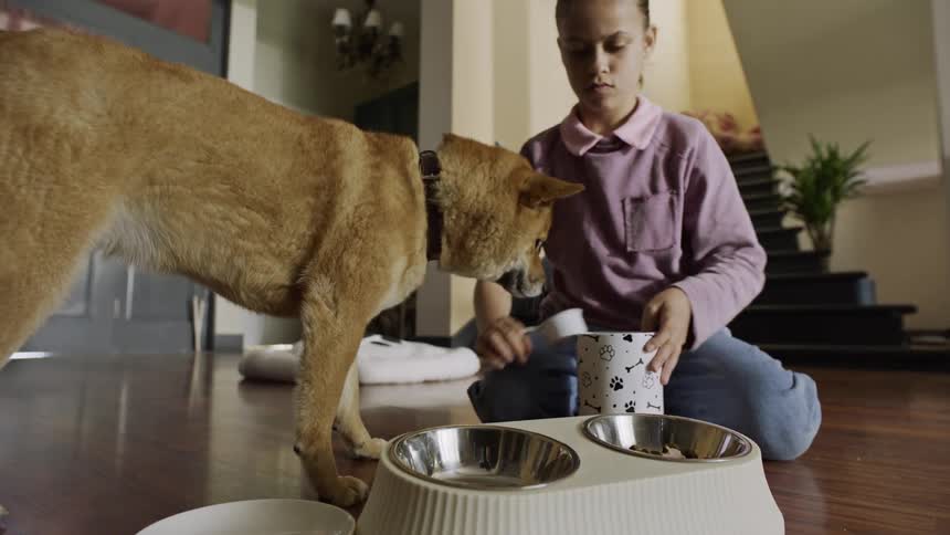 Young girl feeding her dog at home