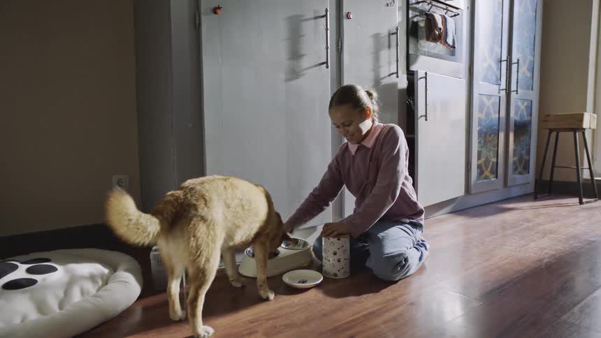 Young girl feeds a dog on a sunlit kitchen floor