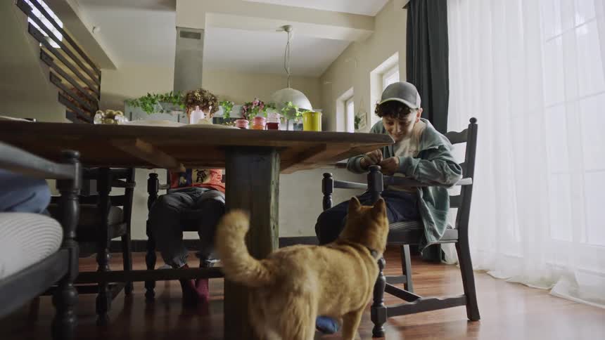 Kids sit at a dining table while one of them feeds a dog indoors