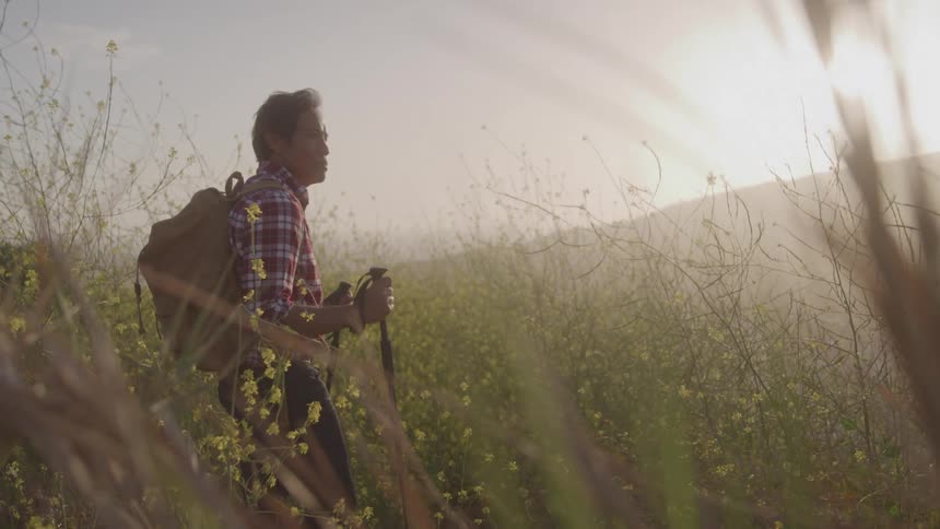 An older asian man in a red plaid shirt with a canvas backpack stops while hiking and gazes at a field of wildflowers with hazy hills and sun in the background