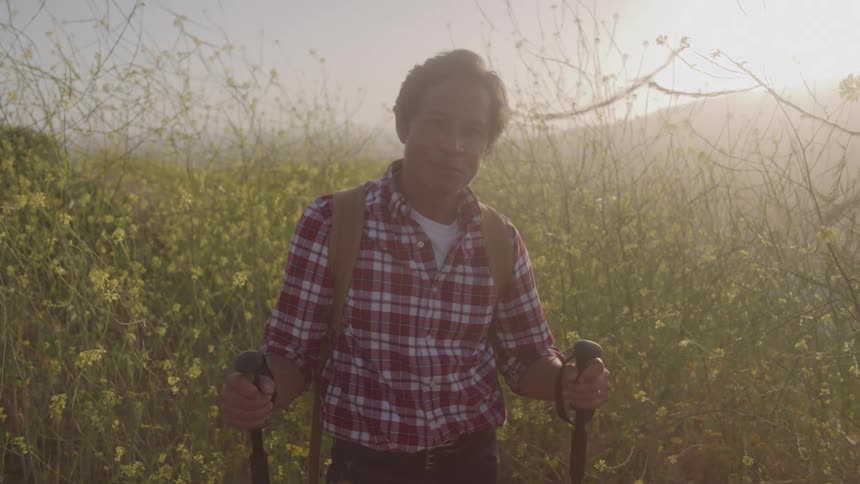An older asian man with hiking poles and a backpack stands to reflect while taking a break in a hazy sunlit field of yellow wildflowers
