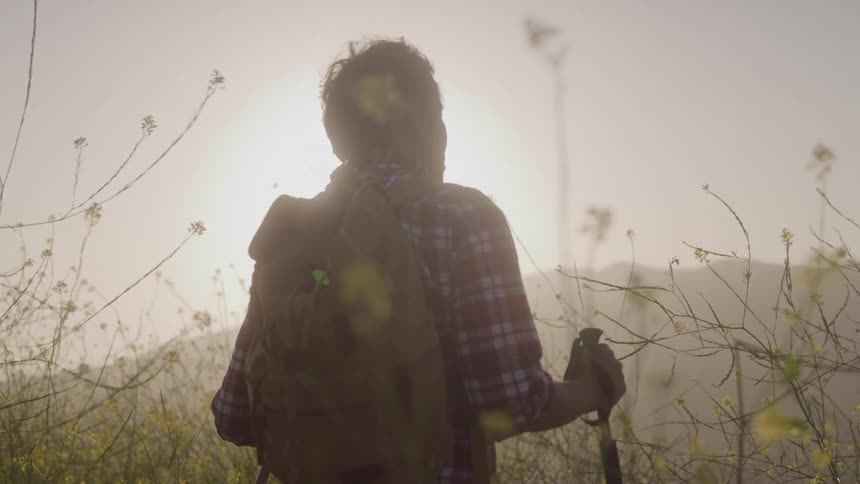 A hiker with a backpack and poles stands silhouetted against the bright sun in a hazy wildflowerfilled field pausing to look out over the landscape