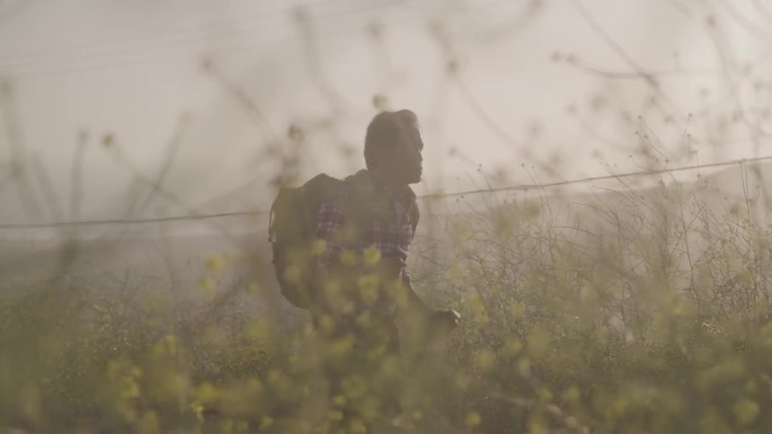 An older asian man with a backpack and poles hikes through a hazy sunlit field of yellow wildflowers seen through foreground foliage