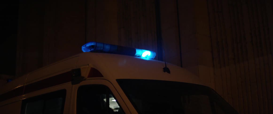 Police lights atop a van light up the night