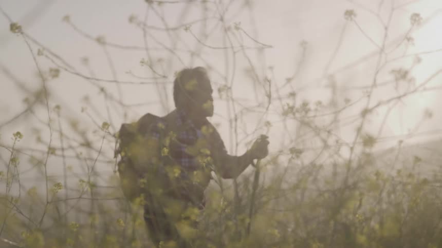 An older asian man with a backpack and hiking pole walks through a hazy sunlit field of wildflowers viewed from behind foreground branches