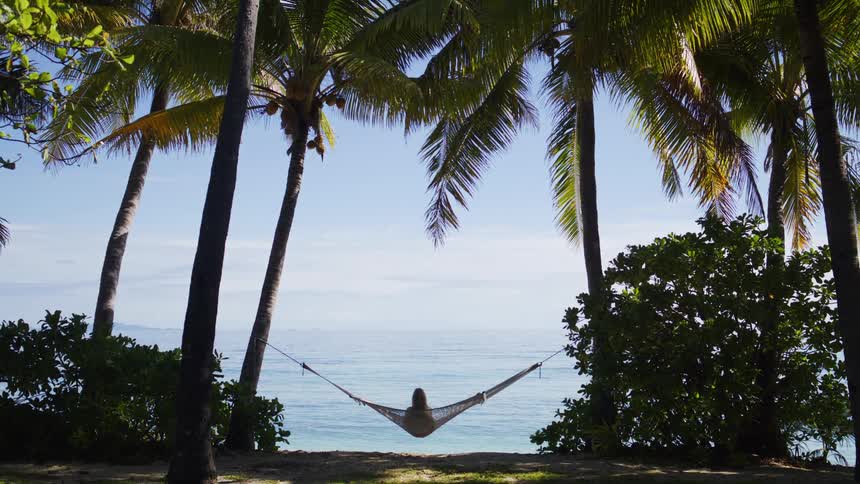 A person lounges in a hammock tied between two palm trees facing the ocean under a clear blue sky