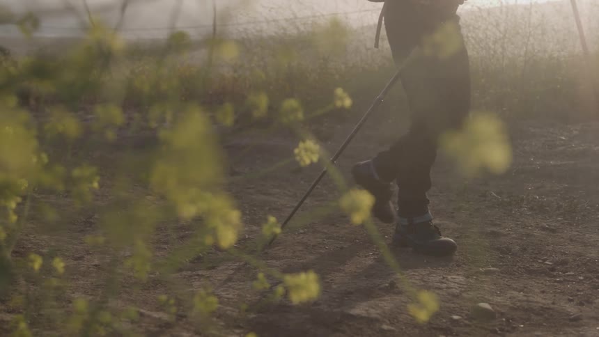 A person walks through a dusty outdoor area with wildflowers in the foreground