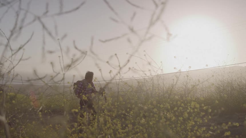 A man wearing a plaid shirt and backpack hikes through a field of wildflowers with trekking poles silhouetted against a hazy sun