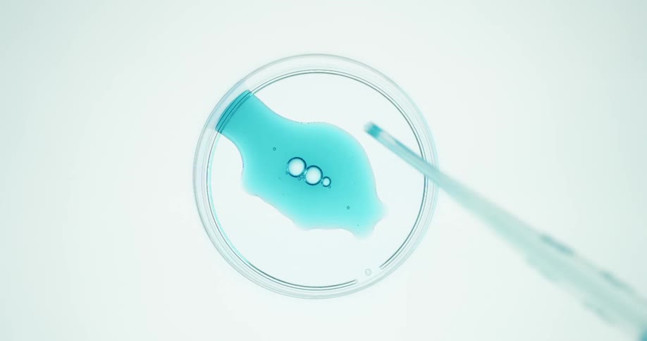 Blue liquid is dripped into a petri dish