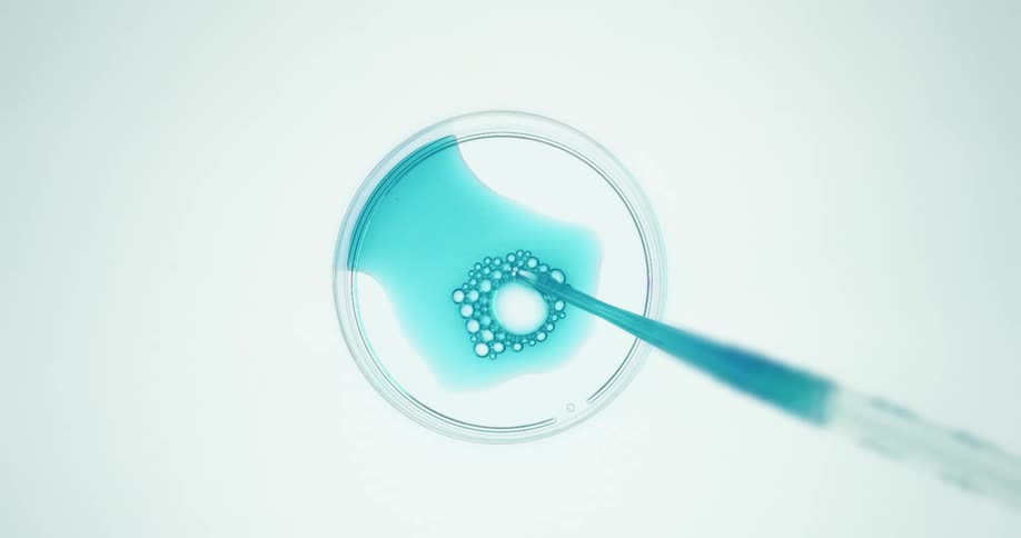 In a clean laboratory setting a pipette adds drops of liquid to a petri dish causing a bubbly reaction in the blue fluid