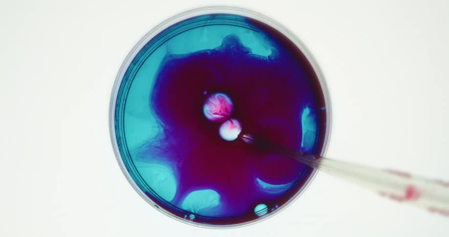 Red liquid is dripped into a petri dish