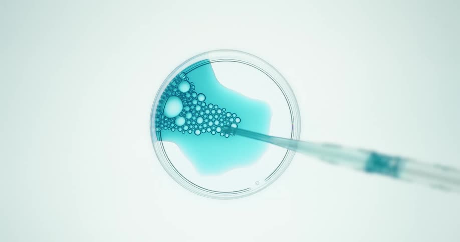 Blue liquid is dripped into a petri dish