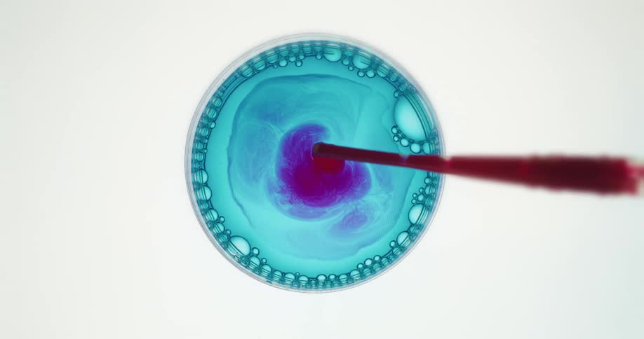 Red liquid is dripped into a petri dish turning the blue liquid purple