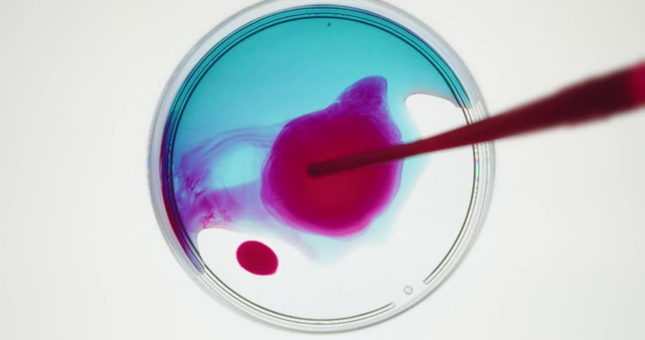 A pipette adds red liquid to a petri dish containing blue liquid creating swirling abstract patterns