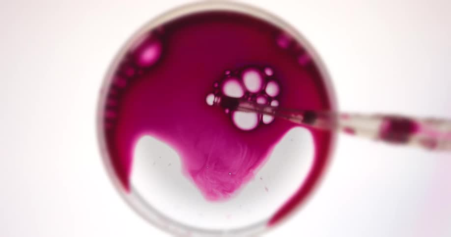 Red liquid is dripped into a petri dish