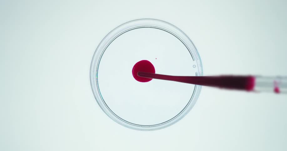 Red liquid is dripped into a petri dish