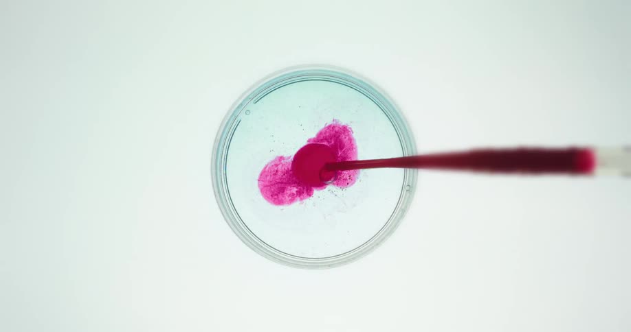 Syringe dropping red dye into a clear petri dish