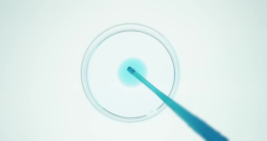 Blue liquid is dripped into a petri dish