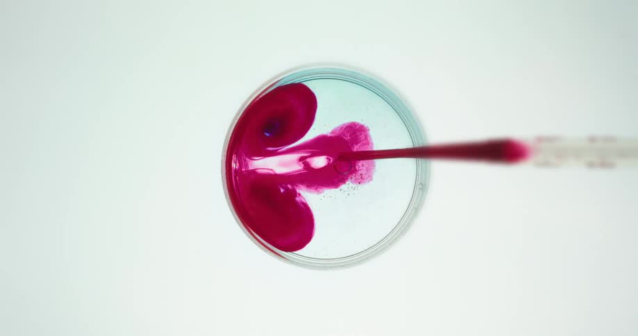 Red liquid is dripped into a petri dish