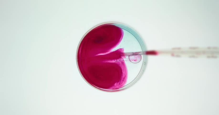 Rec liquid is dripped into a petri dish