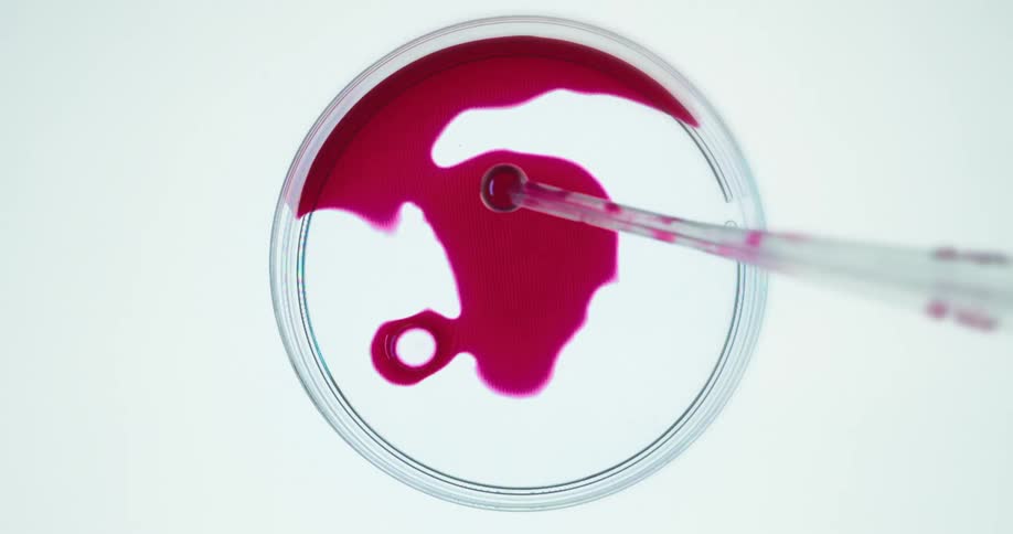 A pipette dispenses red liquid into a petri dish forming a spreading abstract pattern