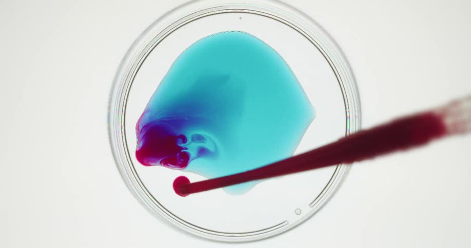 Red liquid is dripped into a petri dish turning the blue liquid purple