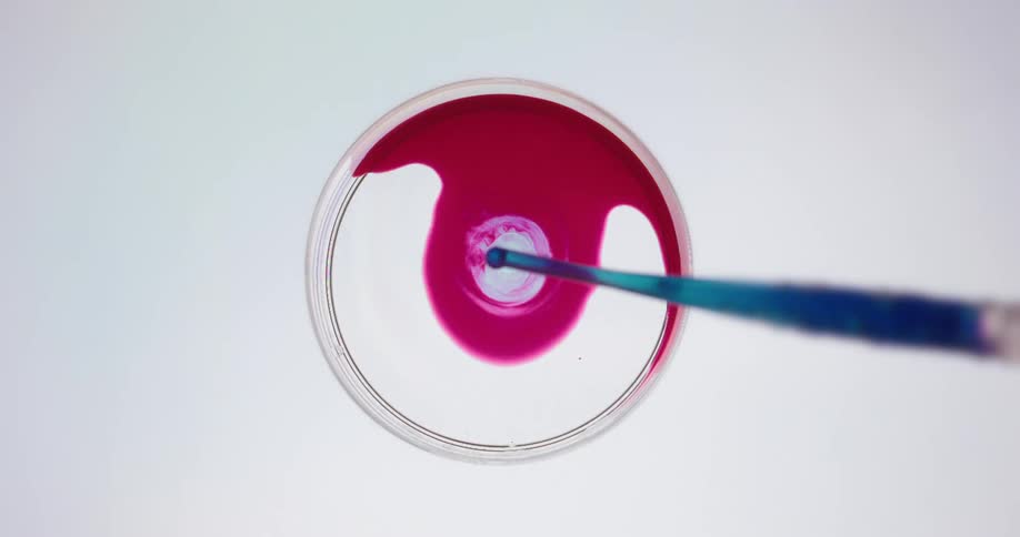 A drop of blue liquid falls into a petri dish with red liquid