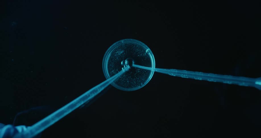 Close up of liquid sample dropped with pipettes into a petri dish placed on a futuristic screen for analysis
