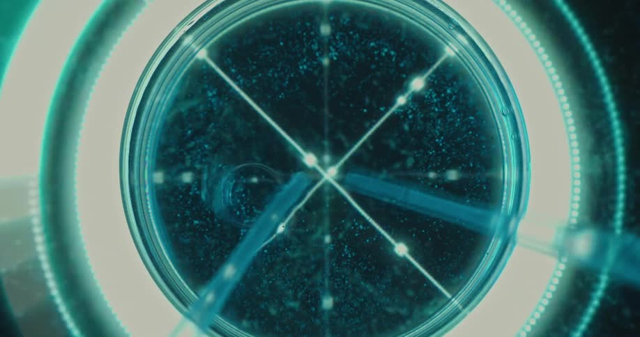 Close up of liquid sample dropped with pipettes into a petri dish placed on a futuristic screen
