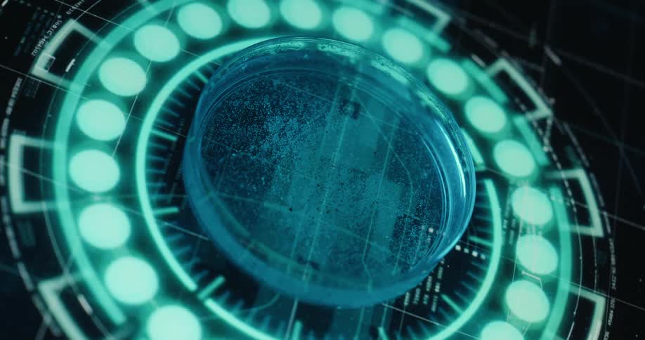 Close up of a petri dish sample placed on a futuristic screen for analysis