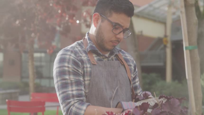 The man is examining a plant in the garden
