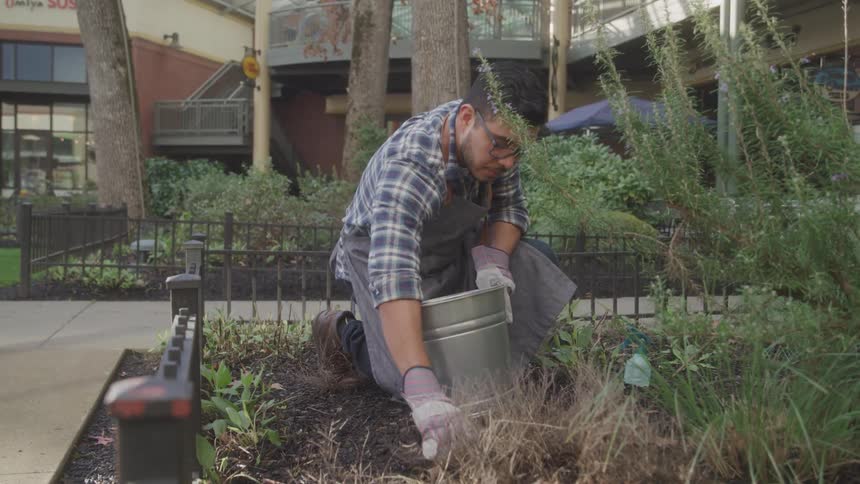 The man is planting something in his garden