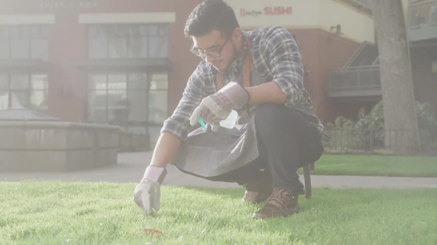 A man kneels on grass tending to a lawn in an urban setting