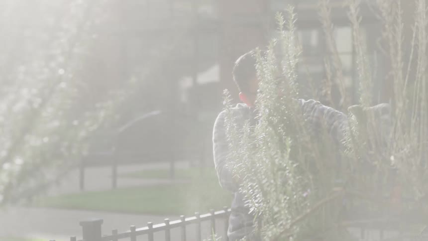 A gardener sprays herbs on a garden patch under the morning sun