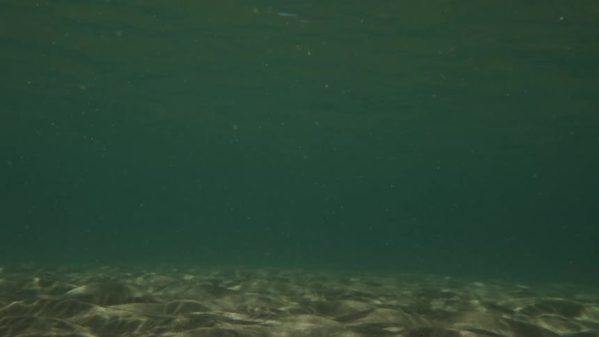A view of the greenish underwater with the bottom full of sand