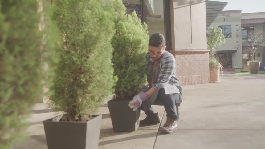 A person wearing gloves and an apron squats on a sidewalk adjusting a potted plant beside a building entrance