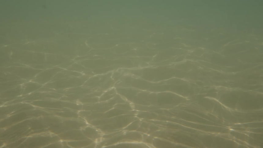 Waves flowing across blue tinted water cast wavy highlights on the seafloor