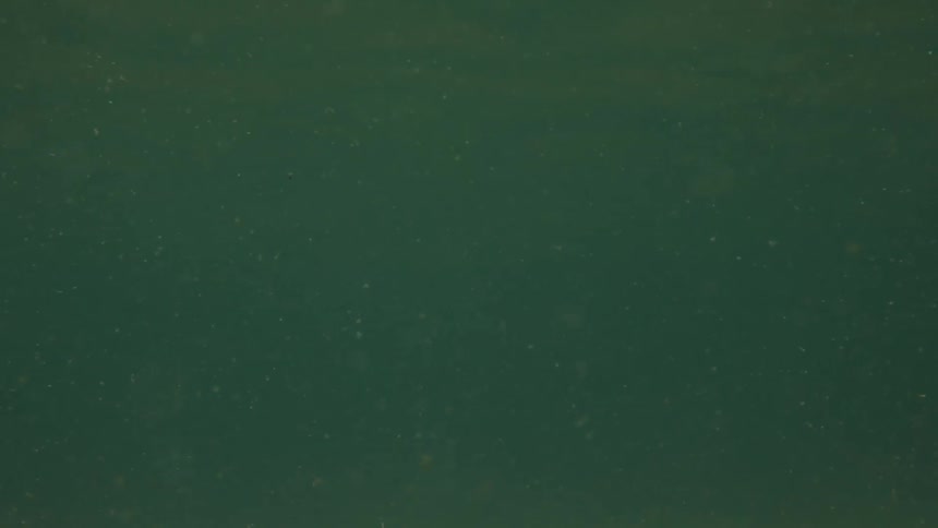 A tranquil underwater shot captures countless tiny particles of sediment as they drift and swirl slowly through dim murky dark green water