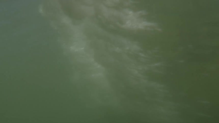Just beneath the waves