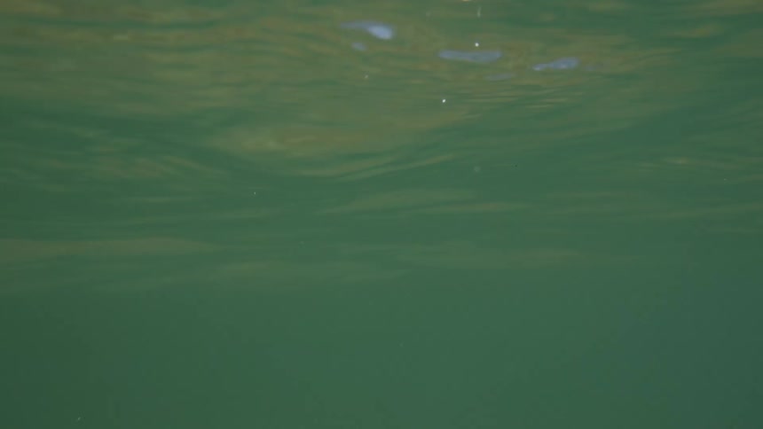 Waves rise and fall past the camera