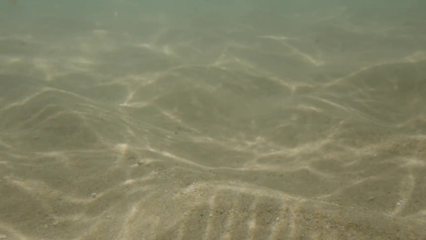 An underwater view shows shifting patterns of sunlight dancing across a rippled sand bed as the current causes a sand cloud to roll by