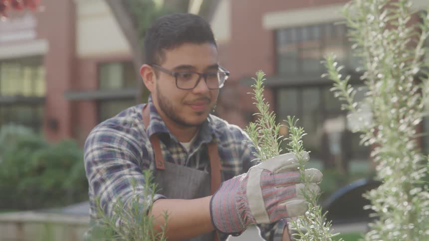 A person in gloves and a plaid shirt tends to a patch of herbs in an outdoor garden beside a brick building