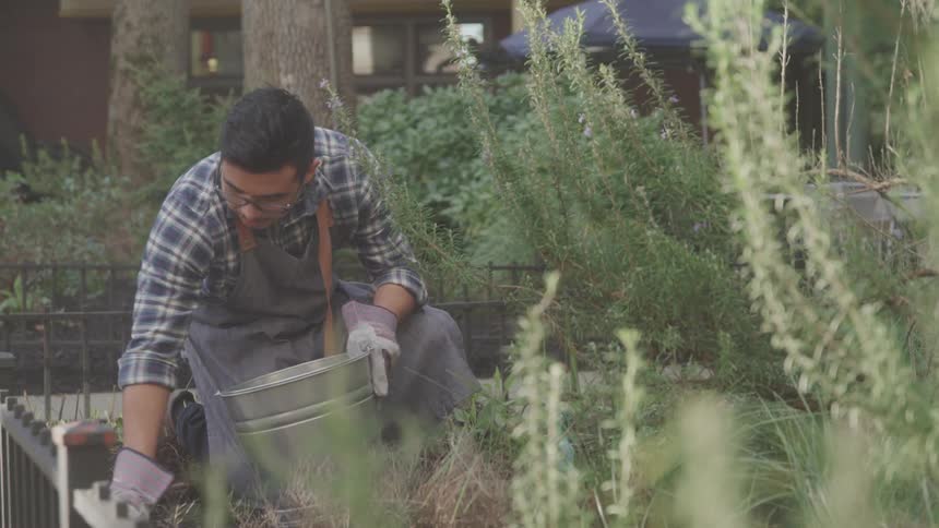 A man wearing gloves and an apron works in a garden pulling weeds or tending to plants