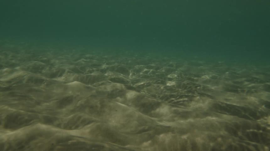 Mesmerizing patterns of sunlight move across the rippled sand of the sea floor as particles drift through the dark water