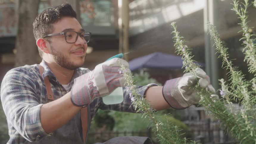 A smiling man sprays water on garden plants in a sunny outdoor setting