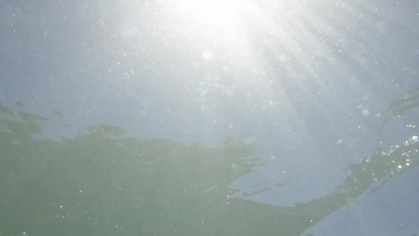 Sunlight reflects beneath the ocean from an underwater view around midday