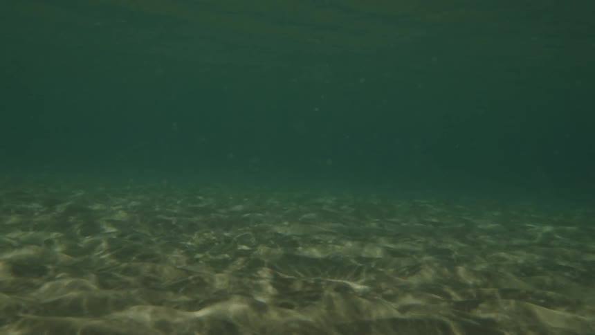 Underwater view of a sandy ocean floor with sunlight filtering through the water