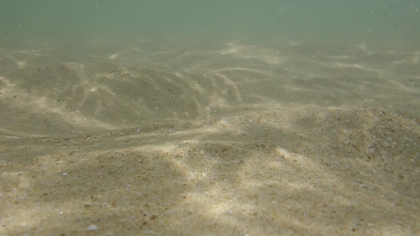 An underwater view captures the gentle drift over a rippled sand bed with mesmerizing patterns of sunlight dancing across the sea floor