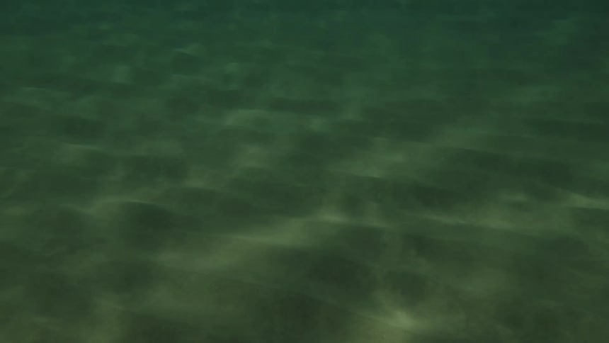 Small ripples are in the water
